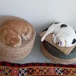 Bed and Breakfast Eole 3*