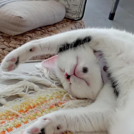 Eole לינה וארוחת בוקר 3*