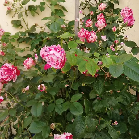 Eole לינה וארוחת בוקר