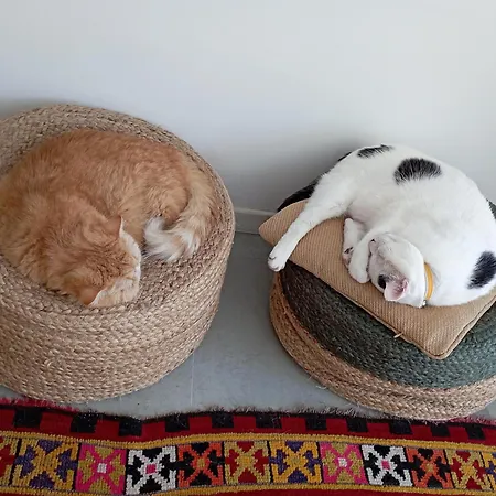 Oda ve Kahvaltı Eole 3*