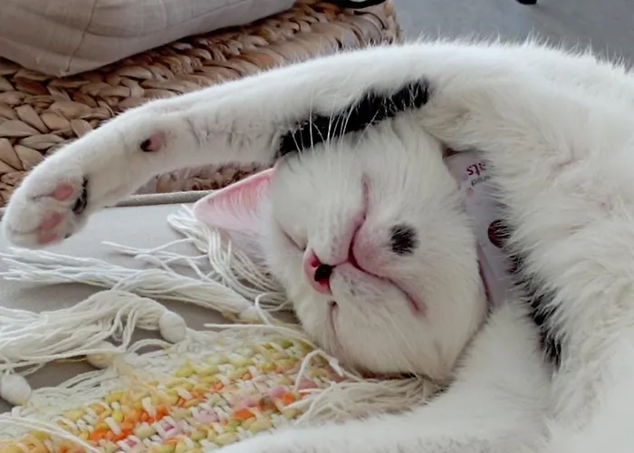 Eole Bed and breakfast 3*