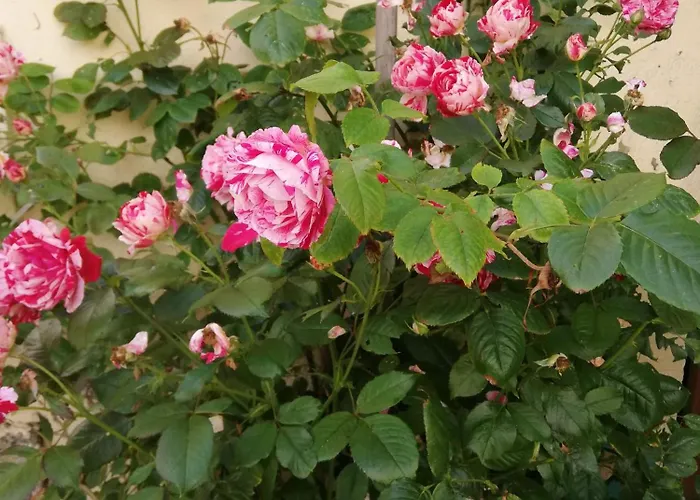 Eole Bed and breakfast