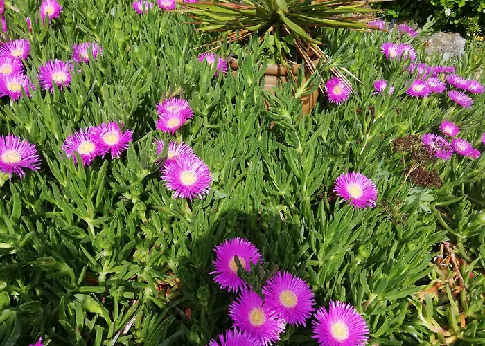 Eole Bed and breakfast