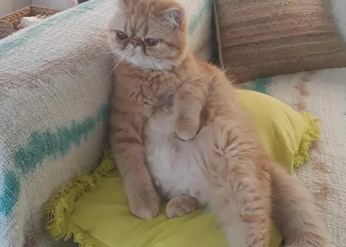 Bed and breakfast Eole