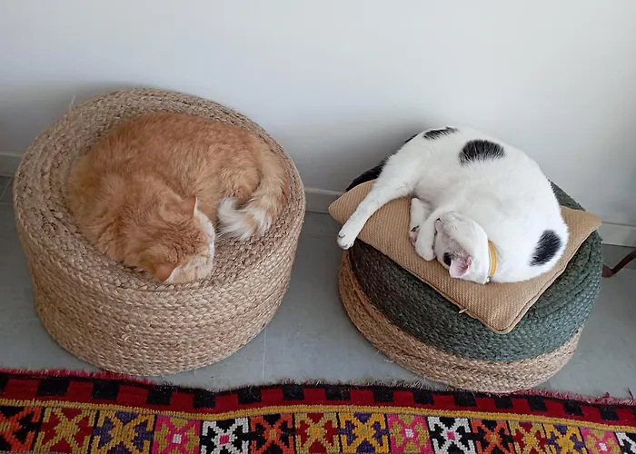 Bed and breakfast Eole 3*